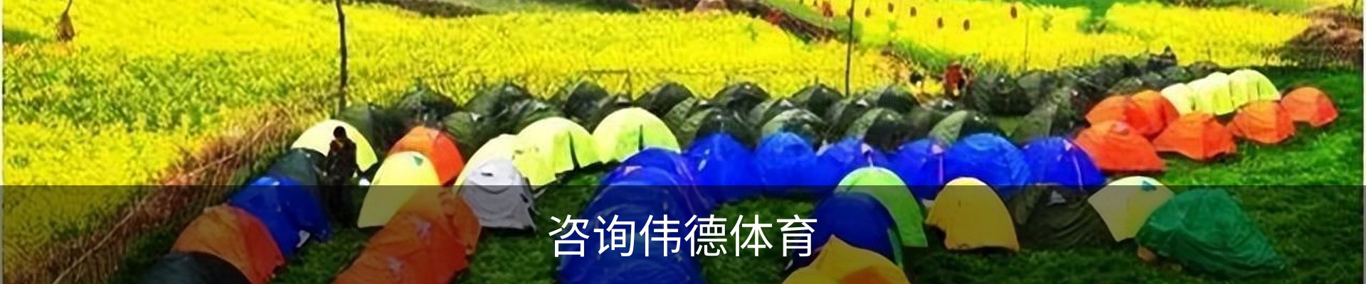 咨询伟德体育